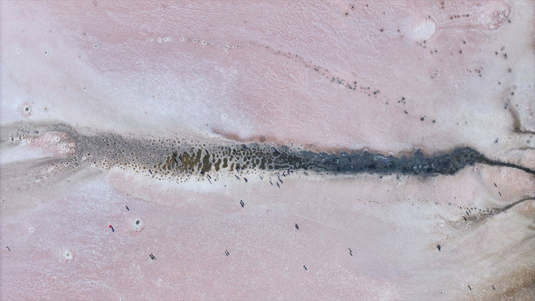 Kavurucu sıcaklar Tuz Gölü'nü kızarttı! Bakteriler cirit atıyor 14